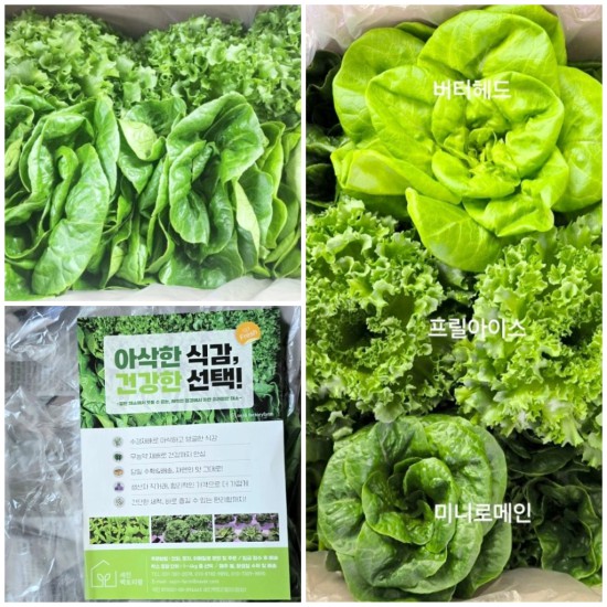 �����̹�������:layout 2025-7-22.jpg